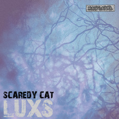 SCAREDY CAT (RAWLAB035) FREE DL