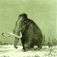 SCYTHE3 - ARCTIC MAMMOTH