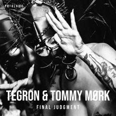 TEGRON & TOMMY MØRK - FINAL JUDGMENT [PHFDL033]
