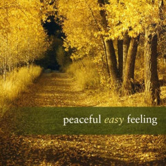 Peaceful Easy Feeling 031525