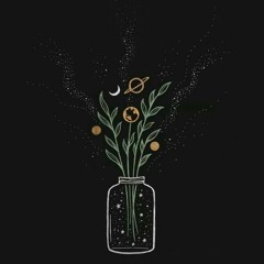 2019 - 11 - 22 morning.light