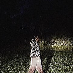 Goin up (slowed)
