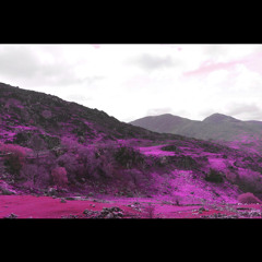 HAVE MY DAY ( feat. DANNY T)