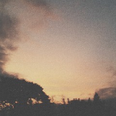 Enveloped In The Sunn.