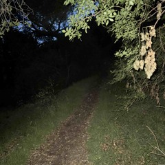 Routeless