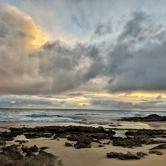 Lockdown Sessions - Winter 2020