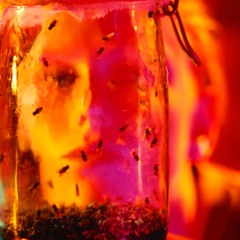 IN A SHELL- Juice Wrld x Lil Skies Type Beat(prod. andnowmusic_)