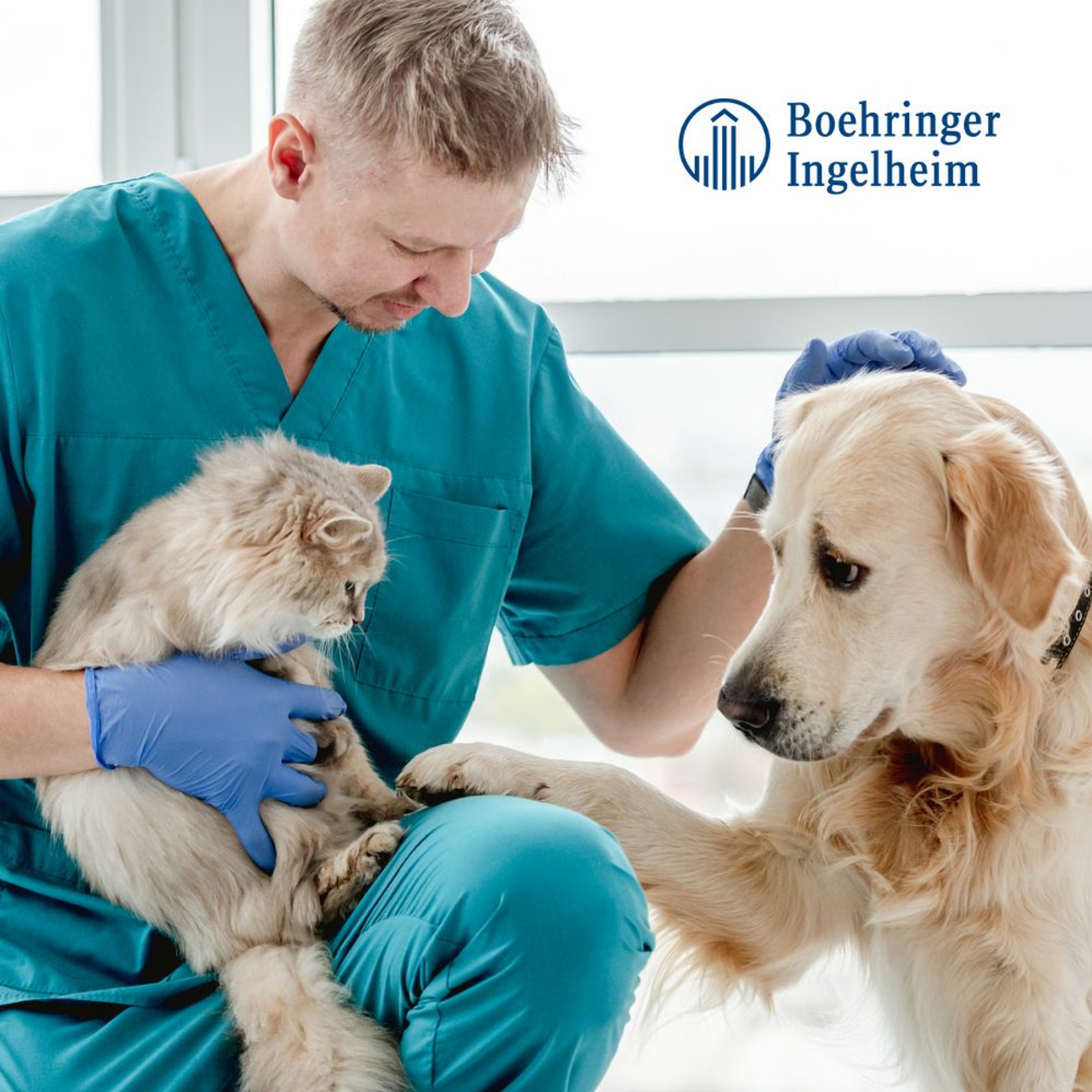 Updates on Insulin Therapies in Dogs and Cats