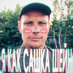 Я КАК САШКА ШЕЙН