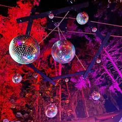 ein Set wie es in der Buche steht | DJ Team genau geil | Tangent Festival 2025 | Buche Floor