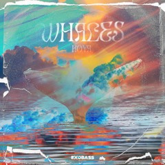 KOYA - WHALES [EXO-78]