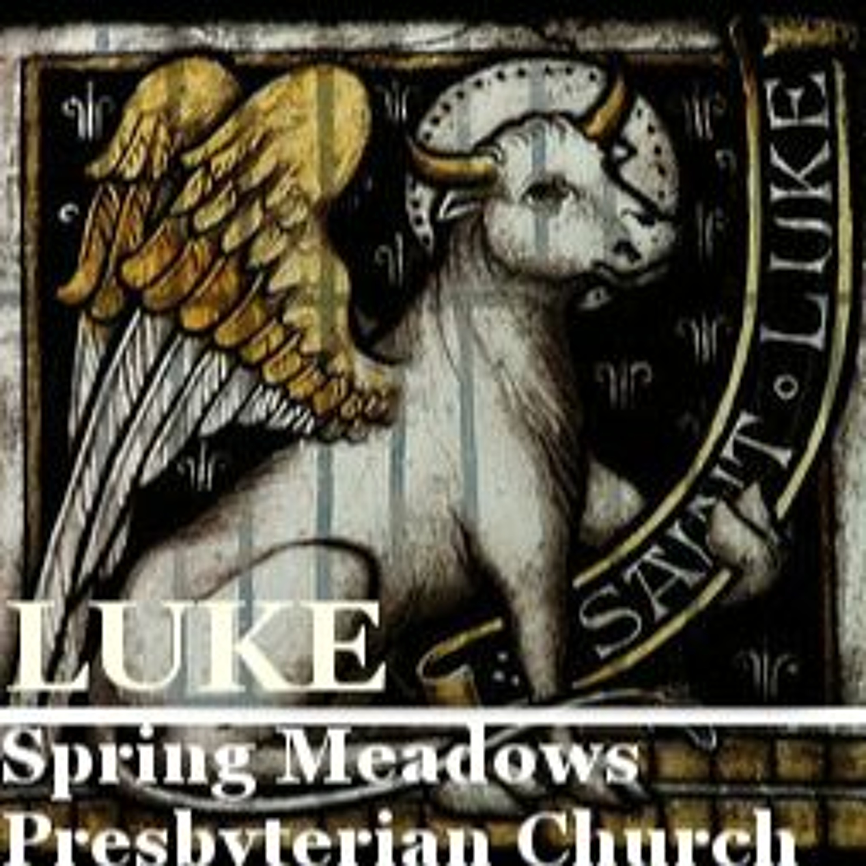 Colossians 2:6-17, Luke 17:11-19 - Gospel Gratitude (11/21/21) episode artwork