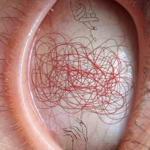 سنُحب ما دُمنا نعيش /ياسر الاطرش