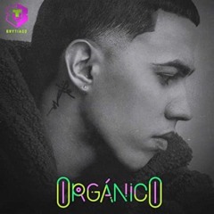 Organico - Brytiago Album Mix