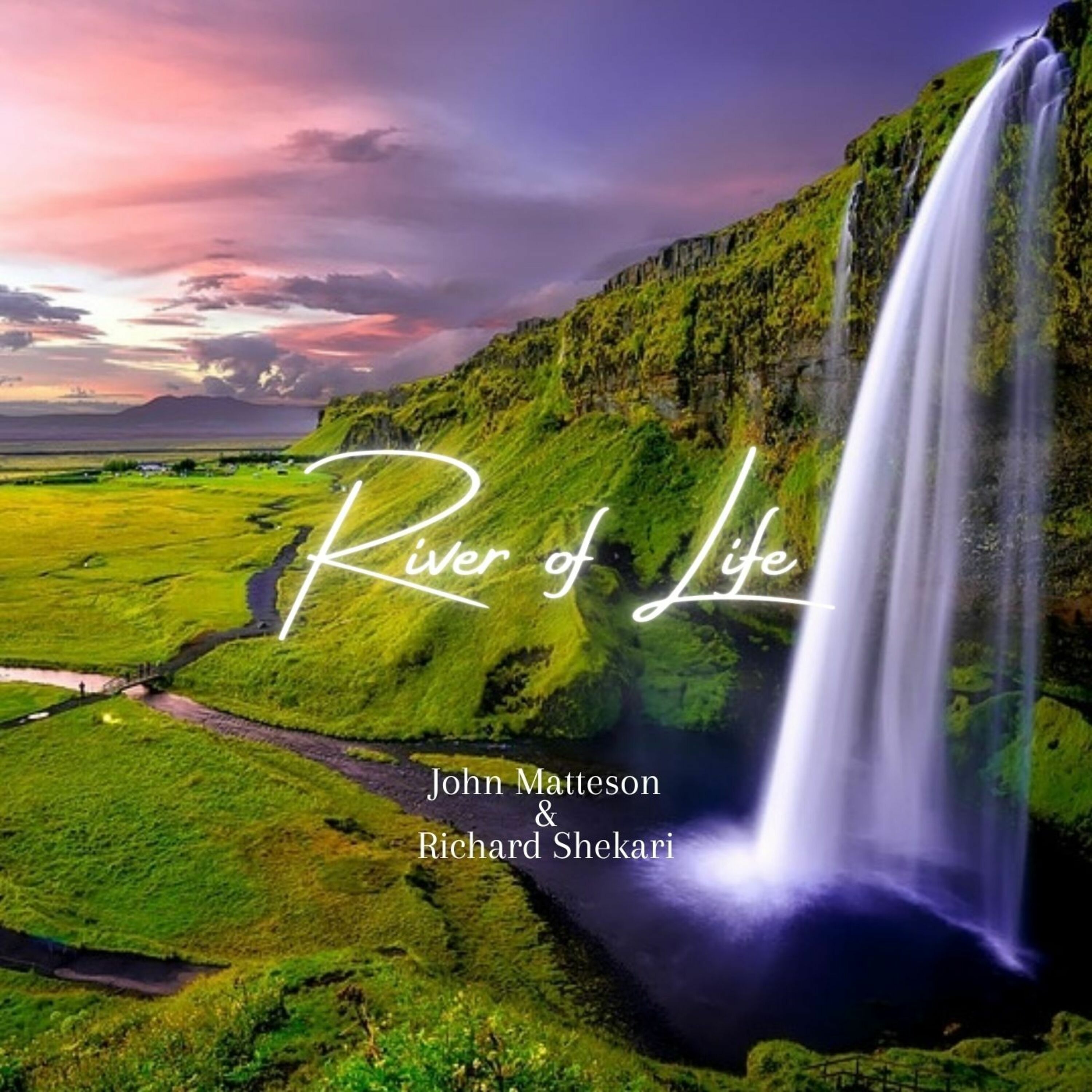 Richard Shekari