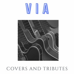 The Covers / Tribute Songs