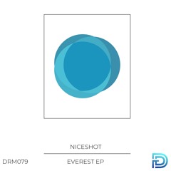 Niceshot - Everest (Original Mix) [Dreamers]