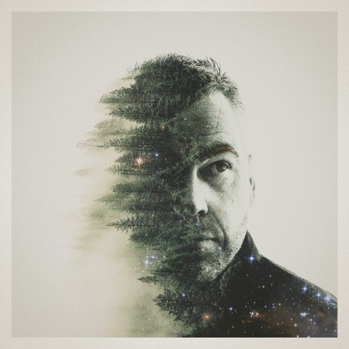 The Slow Music Movement Playlist By DAF