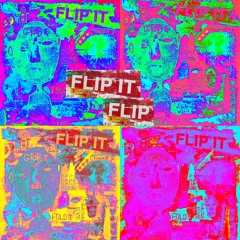 Levity - Flip It (EARTHLING FLIP)