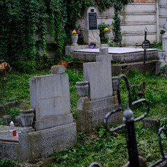 Féniksi készülő