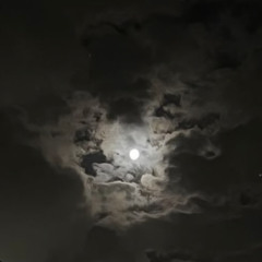 وليل البعد اعياهم ‎⁨أحبتنا و كم جرحوا