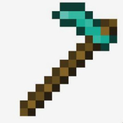 she a hoe