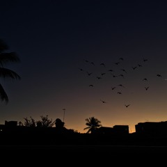 NightFall *out now @chillselect