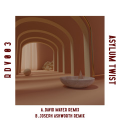 Asylum Twist (David Mayer Remix) [RDV003]