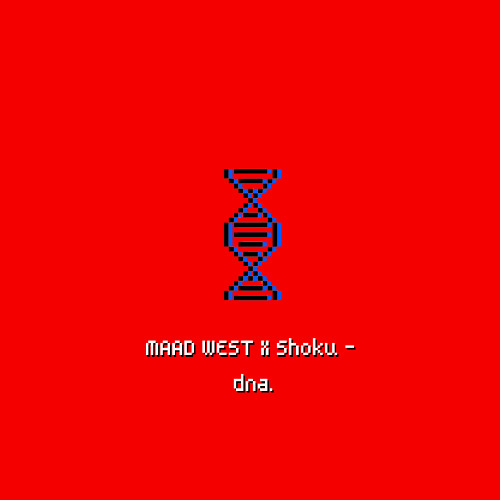 MAAD WEST  X Shoku - dna.