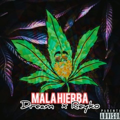 MALA HIERBA - DreamMc X Reyko LNQ