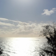 CATCHING BREATH (A Meditation For Reconnecting With Your Breath)