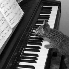 Piano Lessons