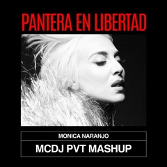 Pantera en Libertad - Monica Naranjo, Edson Pride (Preview) (MCDJ PVT Mashup)