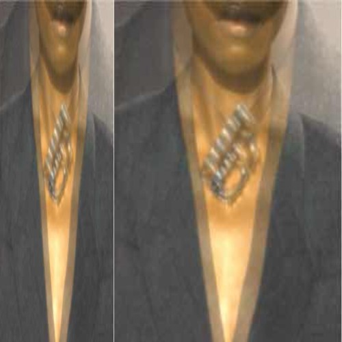 fruity raf simons villain* [aedra]