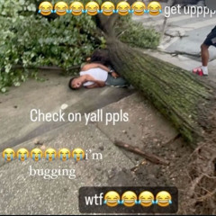 Popout Prod birdbusinness