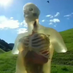 ba11 0ut w1th y0ur b1tch 🧱🧱🧱