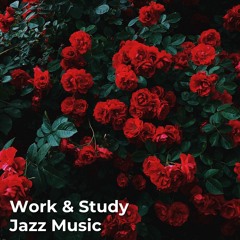 Stress Relief with Relaxing Jazz Instrumental Music at Coffee Shop Bookstore