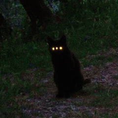 IMIGHTK!LLMYSELF PRODBY.*UTAH