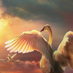 Rising Swan