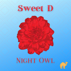 Night Owl