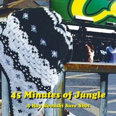 45 Minutes Of Jungle