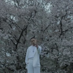 ZORN 声