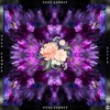 Noah Kammer - Aster