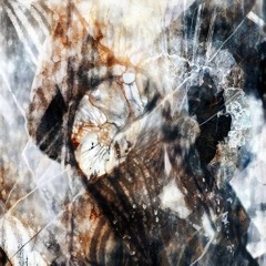 FØGG - NARTHEX