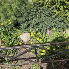 {FREE} lofi type beat - FLY