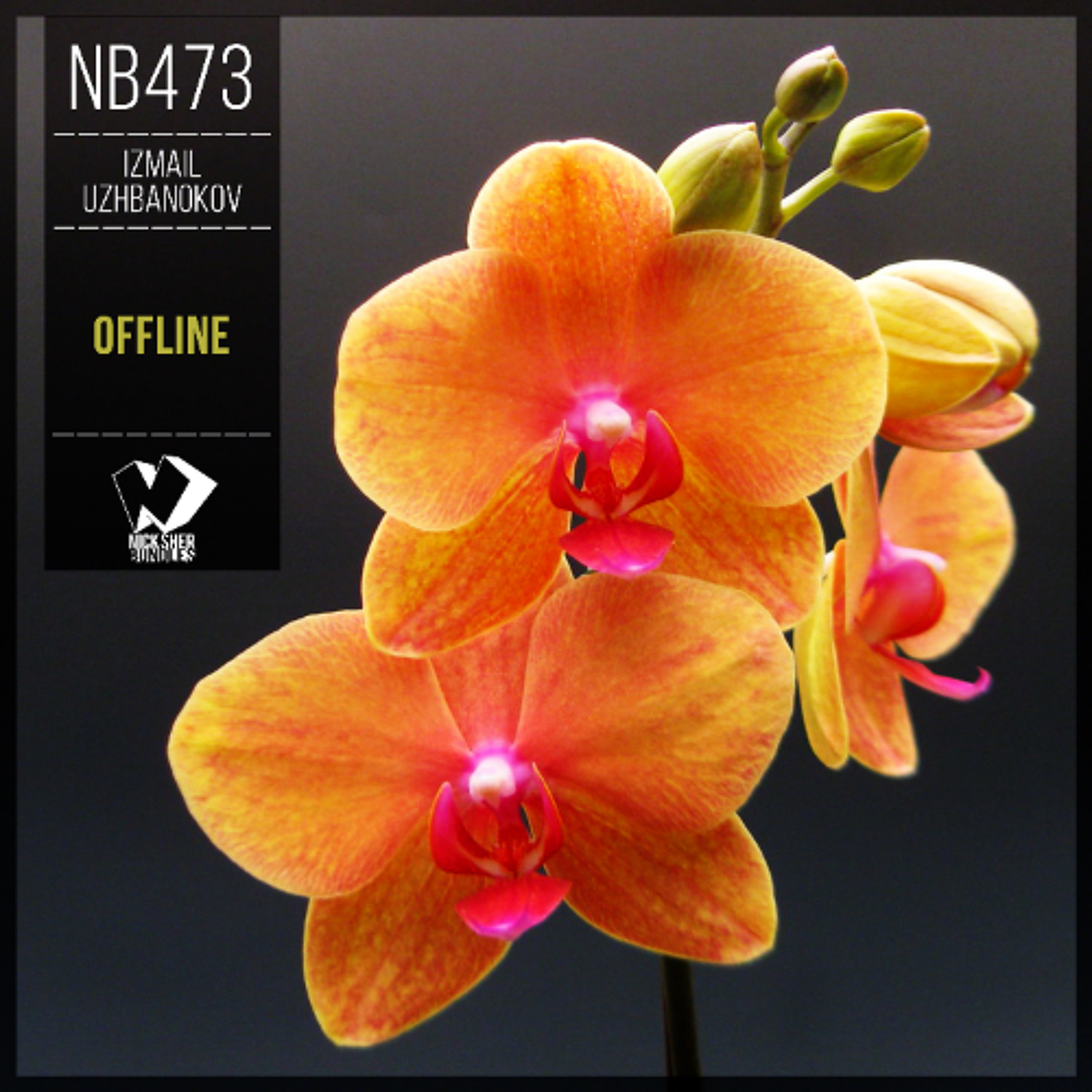 Izmail Uzhbanokov - Offline (Chillout Mix) episode artwork