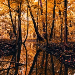 Falling (LNA September Challenge 2023)