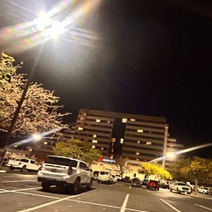 Free Dukes (prod. Yxngkenay+yung Valentino)