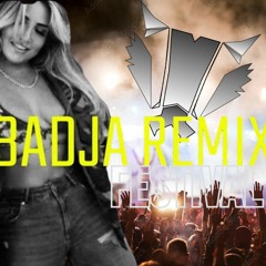 What Your Gunna Do  ! (baDJa VIP Festival Mix)