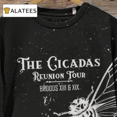 The Cicadas Reunion Tour 2024 Comfy Sweatshirt